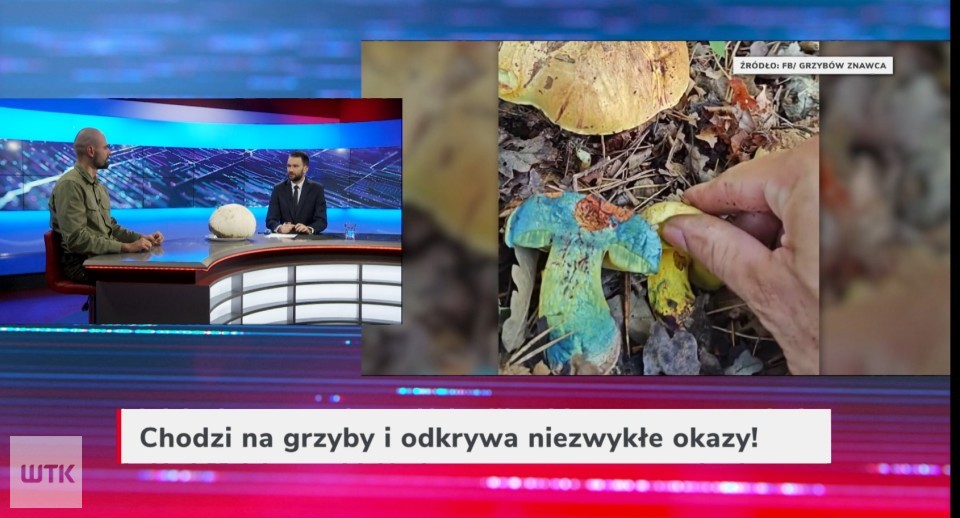 Gość Wieczoru WTK: Chodzi na grzyby i odkrywa niezwykłe okazy! Pasją zaraża innych