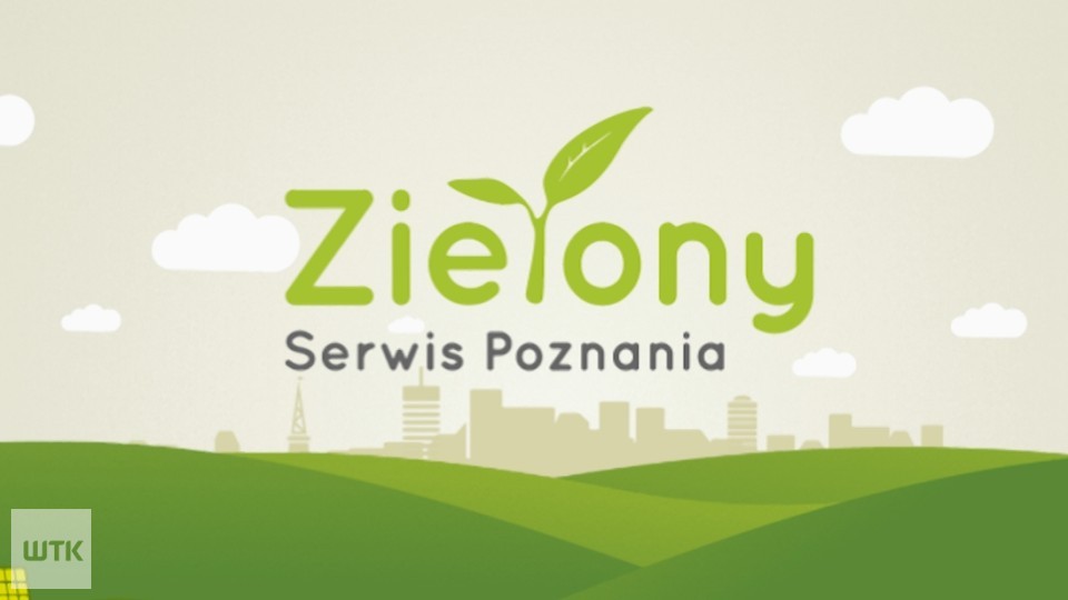 Zielony Serwis Poznania - Ochrona drzew w Poznaniu